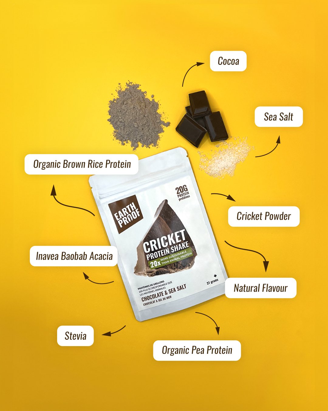 Chocolate & Sea Salt Cricket Protein Shake - EarthProof Protein